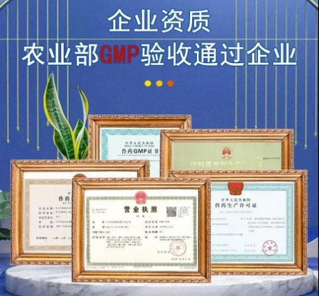 我們的服務