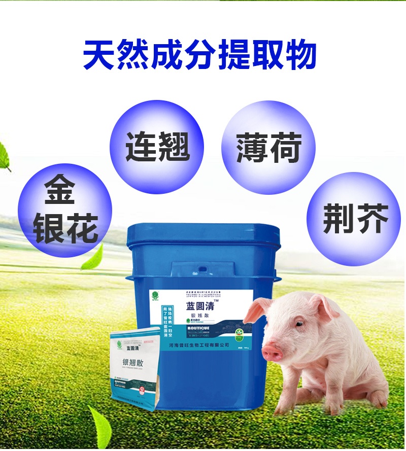 藍圓清